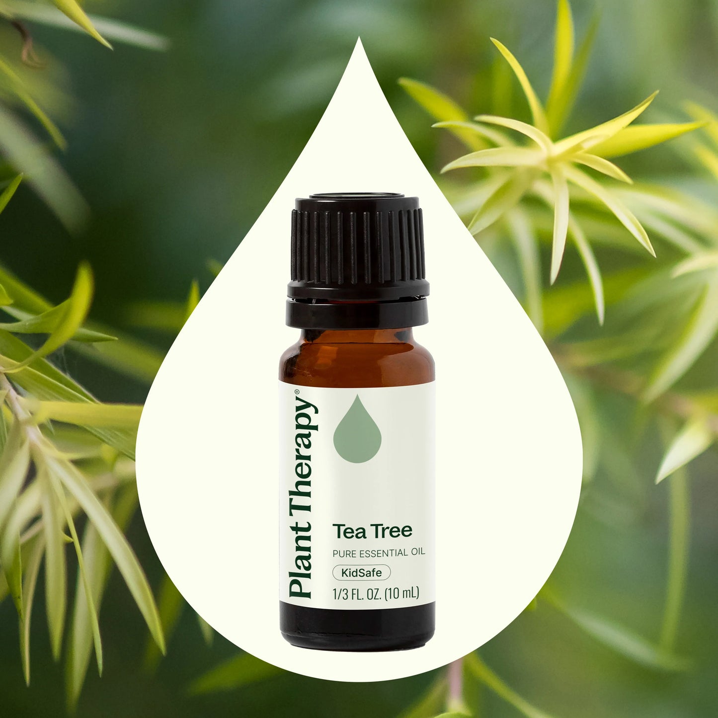 Tea Tree Essential Oil 10ml