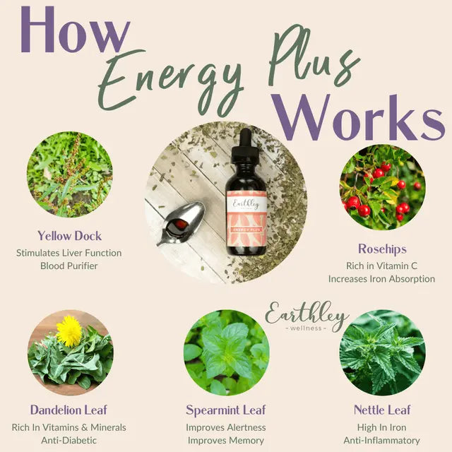 Energy Plus 1oz