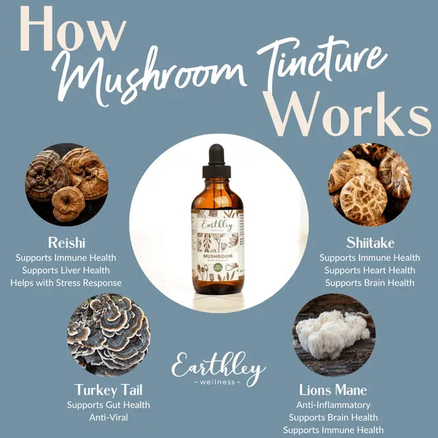 Mushroom Tincture 1oz