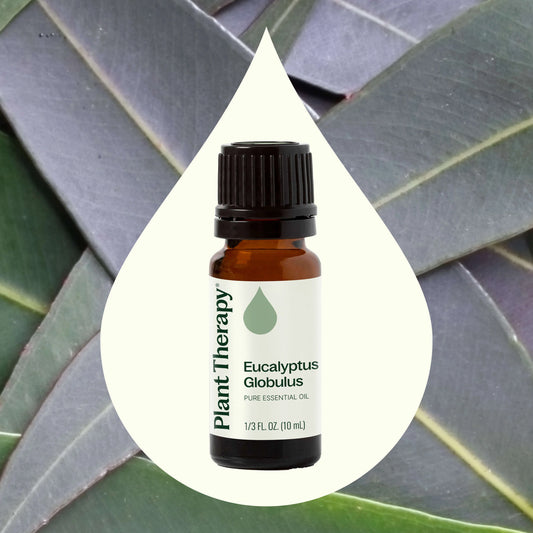 Eucalyptus Globulus Essential Oil 10ml