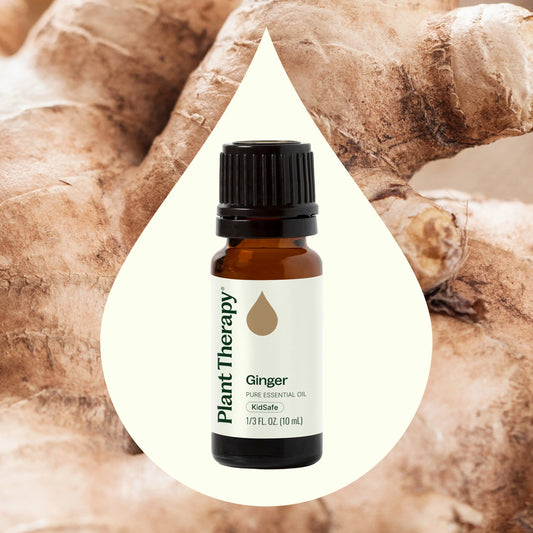 Ginger Essential Oil 10ml