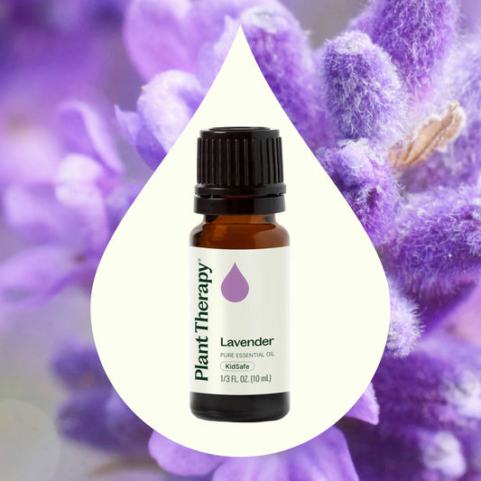Lavender Essential Oil 10ml