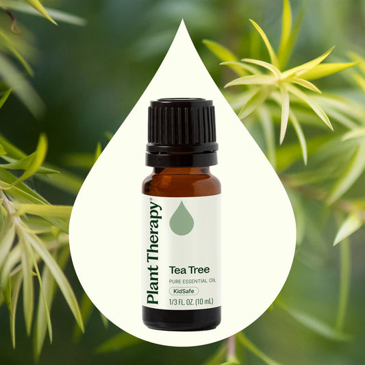 Tea Tree Essential Oil 10ml